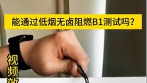 能通过低烟无卤阻燃B1测试吗？